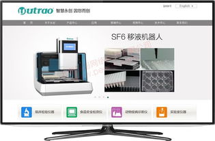 松江網站建設服務全解析 從設計到開發一站式解決方案