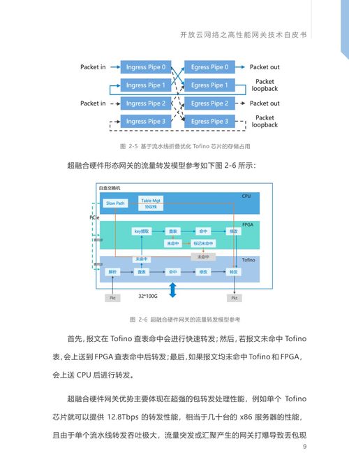 開放云網絡之高性能網關技術白皮書